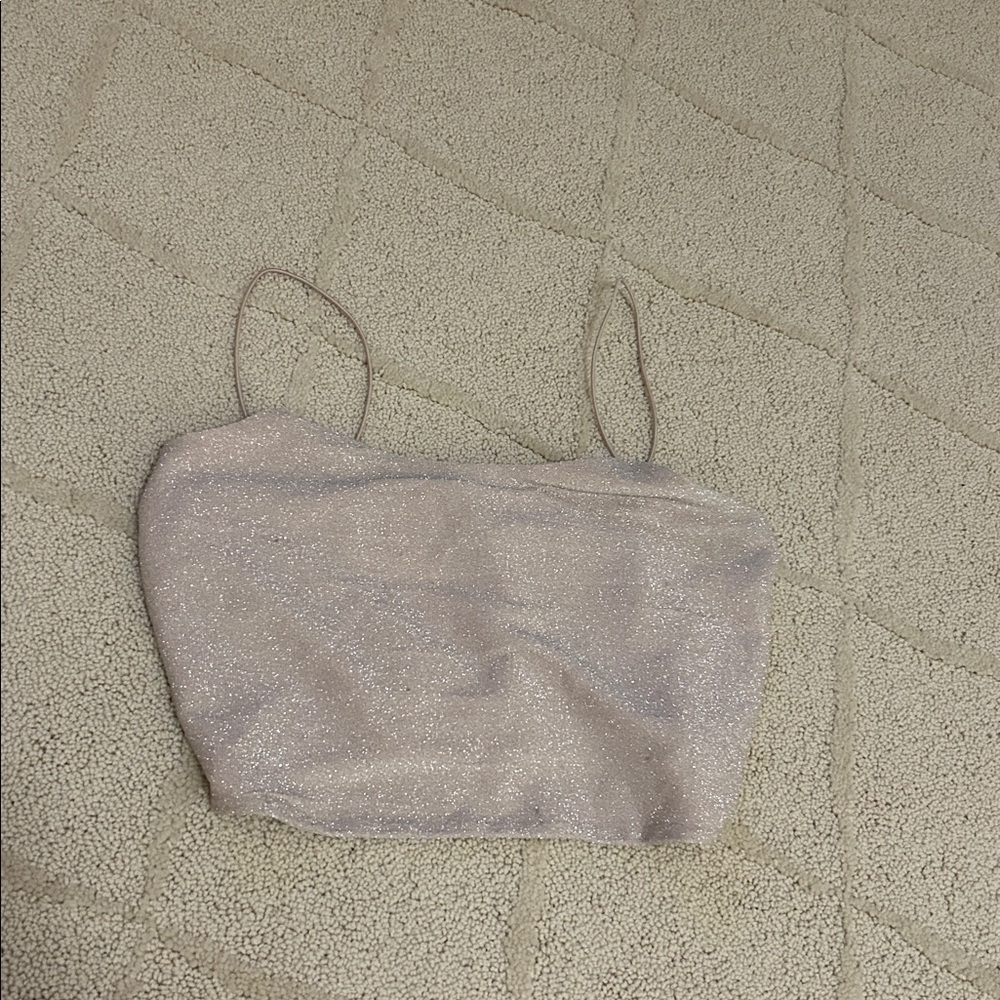 Sparkly Silver Crop Top